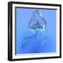 Blue Jellyfish Illustration-Stocktrek Images-Framed Art Print