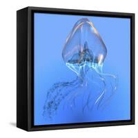 Blue Jellyfish Illustration-Stocktrek Images-Framed Stretched Canvas