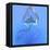 Blue Jellyfish Illustration-Stocktrek Images-Framed Stretched Canvas