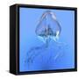 Blue Jellyfish Illustration-Stocktrek Images-Framed Stretched Canvas