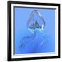 Blue Jellyfish Illustration-Stocktrek Images-Framed Art Print