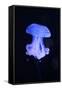 Blue Jellyfish-greta6-Framed Stretched Canvas