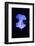 Blue Jellyfish-greta6-Framed Photographic Print