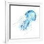 Blue Jellyfish-Sara Berrenson-Framed Art Print