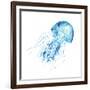 Blue Jellyfish-Sara Berrenson-Framed Art Print