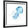 Blue Jellyfish-Sara Berrenson-Framed Art Print