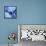 Blue journey-Pol Ledent-Framed Stretched Canvas displayed on a wall