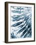 Blue Jungle Leaf II-Patricia Pinto-Framed Art Print