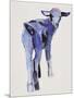 Blue Kid, Cazalla de la Sierra, 1999-Mark Adlington-Mounted Giclee Print