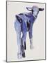 Blue Kid, Cazalla de la Sierra, 1999-Mark Adlington-Mounted Giclee Print