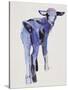 Blue Kid, Cazalla de la Sierra, 1999-Mark Adlington-Stretched Canvas