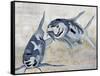 Blue Koi Harmony-Jacob Q-Framed Stretched Canvas