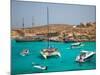 Blue Lagoon, Comino, Malta, Mediterranean, Europe-Billy Stock-Mounted Photographic Print