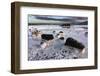 Blue Lagoon, Grindavik, Iceland, Polar Regions-Sergio Pitamitz-Framed Photographic Print