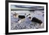 Blue Lagoon, Grindavik, Iceland, Polar Regions-Sergio Pitamitz-Framed Photographic Print