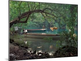 Blue Lagoon, Jamaica, Caribbean-Robin Hill-Mounted Premium Photographic Print