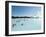 Blue Lagoon (Mineral Baths), Near Keflavik, Iceland, Polar Regions-Ethel Davies-Framed Photographic Print