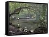 Blue Lagoon near Port Antonio, Mexico-Robin Hill-Framed Stretched Canvas