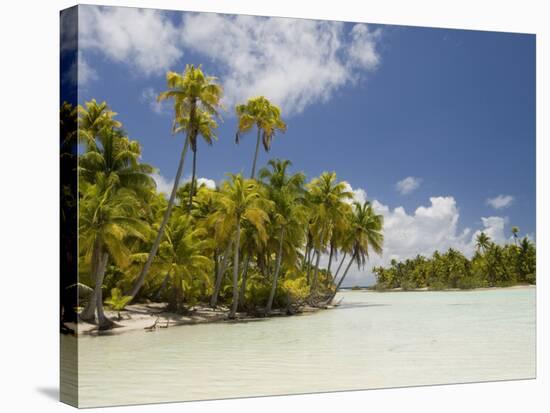 Blue Lagoon, Rangiroa, Tuamotu Archipelago, French Polynesia Islands-Sergio Pitamitz-Stretched Canvas