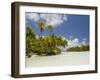 Blue Lagoon, Rangiroa, Tuamotu Archipelago, French Polynesia Islands-Sergio Pitamitz-Framed Photographic Print