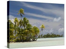 Blue Lagoon, Rangiroa, Tuamotu Archipelago, French Polynesia Islands-Sergio Pitamitz-Stretched Canvas