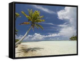 Blue Lagoon, Rangiroa, Tuamotu Archipelago, French Polynesia Islands-Sergio Pitamitz-Framed Stretched Canvas