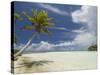 Blue Lagoon, Rangiroa, Tuamotu Archipelago, French Polynesia Islands-Sergio Pitamitz-Stretched Canvas