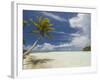 Blue Lagoon, Rangiroa, Tuamotu Archipelago, French Polynesia Islands-Sergio Pitamitz-Framed Photographic Print