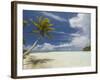 Blue Lagoon, Rangiroa, Tuamotu Archipelago, French Polynesia Islands-Sergio Pitamitz-Framed Photographic Print