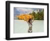 Blue Lagoon, Rangiroa, Tuamotu Archipelago, French Polynesia Islands-Sergio Pitamitz-Framed Photographic Print