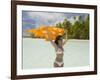 Blue Lagoon, Rangiroa, Tuamotu Archipelago, French Polynesia Islands-Sergio Pitamitz-Framed Photographic Print