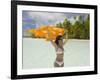 Blue Lagoon, Rangiroa, Tuamotu Archipelago, French Polynesia Islands-Sergio Pitamitz-Framed Photographic Print