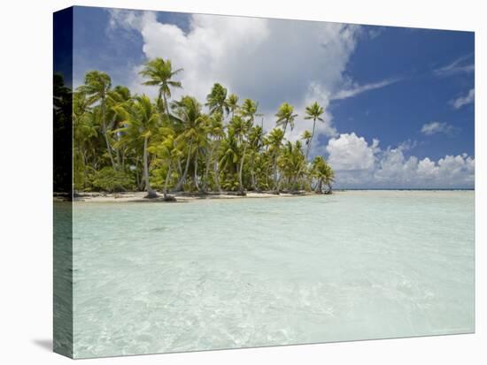 Blue Lagoon, Rangiroa, Tuamotu Archipelago, French Polynesia Islands-Sergio Pitamitz-Stretched Canvas