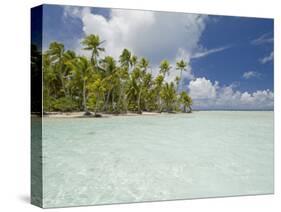 Blue Lagoon, Rangiroa, Tuamotu Archipelago, French Polynesia Islands-Sergio Pitamitz-Stretched Canvas