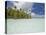 Blue Lagoon, Rangiroa, Tuamotu Archipelago, French Polynesia Islands-Sergio Pitamitz-Stretched Canvas