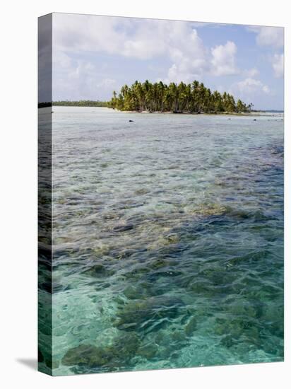 Blue Lagoon, Rangiroa, Tuamotu Archipelago, French Polynesia Islands-Sergio Pitamitz-Stretched Canvas