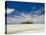 Blue Lagoon, Rangiroa, Tuamotu Archipelago, French Polynesia, Pacific Islands, Pacific-Sergio Pitamitz-Stretched Canvas