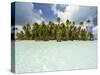 Blue Lagoon, Rangiroa, Tuamotu Archipelago, French Polynesia, Pacific Islands, Pacific-Sergio Pitamitz-Stretched Canvas