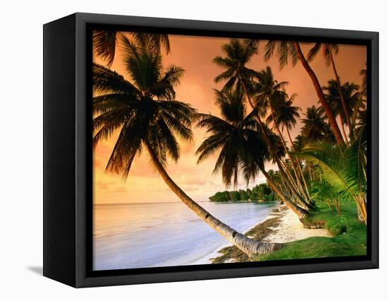 Blue Lagoon Resort Beach, Weno Centre, Micronesia-John Elk III-Framed Stretched Canvas