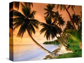 Blue Lagoon Resort Beach, Weno Centre, Micronesia-John Elk III-Stretched Canvas