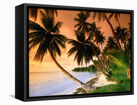 Blue Lagoon Resort Beach, Weno Centre, Micronesia-John Elk III-Framed Stretched Canvas