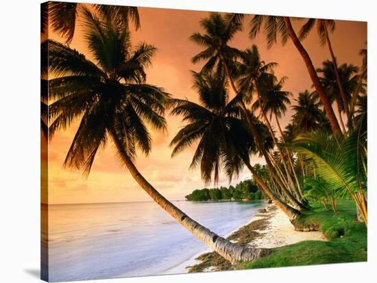 Blue Lagoon Resort Beach, Weno Centre, Micronesia-John Elk III-Stretched Canvas