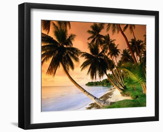 Blue Lagoon Resort Beach, Weno Centre, Micronesia-John Elk III-Framed Photographic Print
