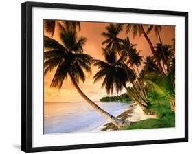 Blue Lagoon Resort Beach, Weno Centre, Micronesia-John Elk III-Framed Photographic Print