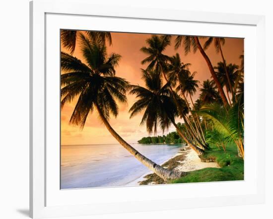 Blue Lagoon Resort Beach, Weno Centre, Micronesia-John Elk III-Framed Photographic Print