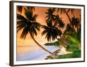 Blue Lagoon Resort Beach, Weno Centre, Micronesia-John Elk III-Framed Photographic Print