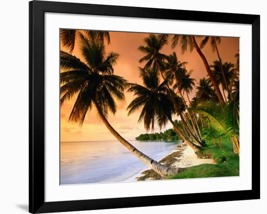 Blue Lagoon Resort Beach, Weno Centre, Micronesia-John Elk III-Framed Photographic Print