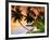 Blue Lagoon Resort Beach, Weno Centre, Micronesia-John Elk III-Framed Photographic Print