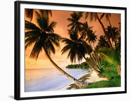 Blue Lagoon Resort Beach, Weno Centre, Micronesia-John Elk III-Framed Photographic Print