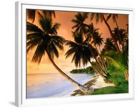 Blue Lagoon Resort Beach, Weno Centre, Micronesia-John Elk III-Framed Photographic Print